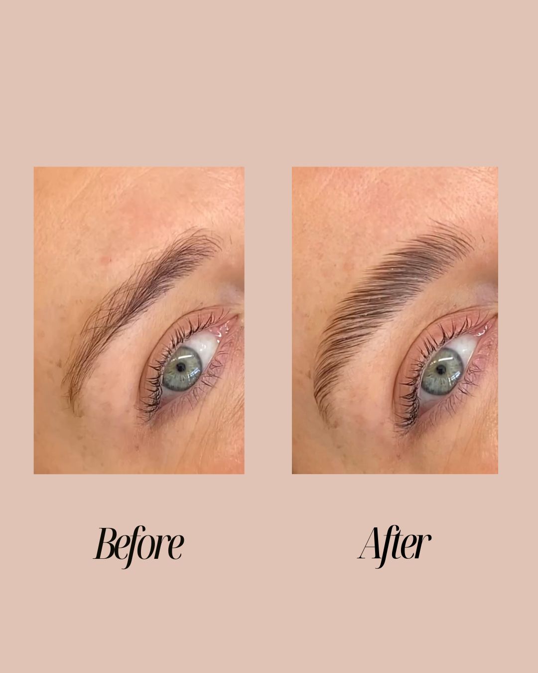 Brow Pencil + Hybrid Brow Gel Duo